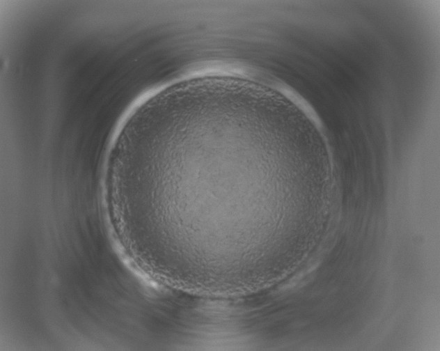 X0000082941104200702011259