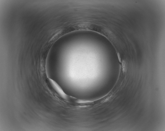 X0000082941107200702011258