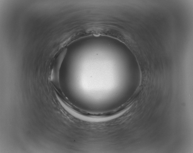 X0000082941109200702011258