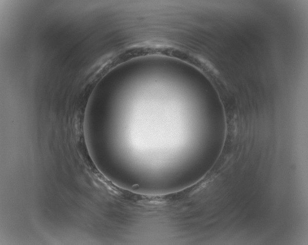 X0000082941110200702011258