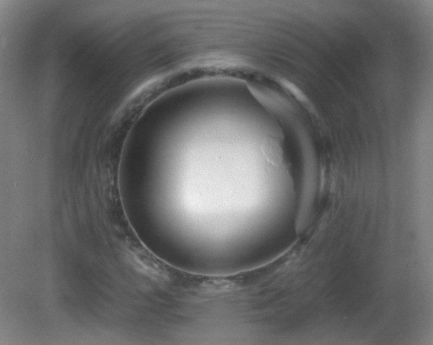 X0000082941112200702011258