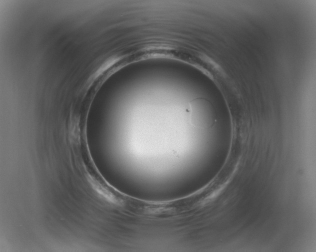 X0000082941113200702011258
