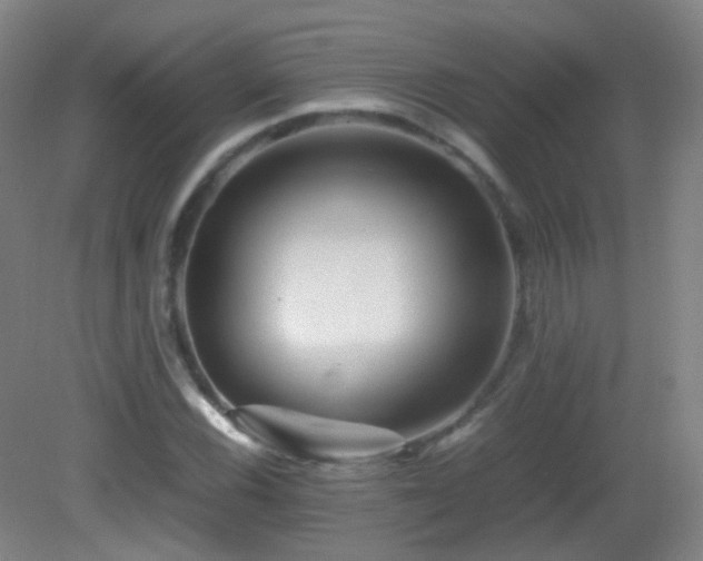 X0000082941116200702011258