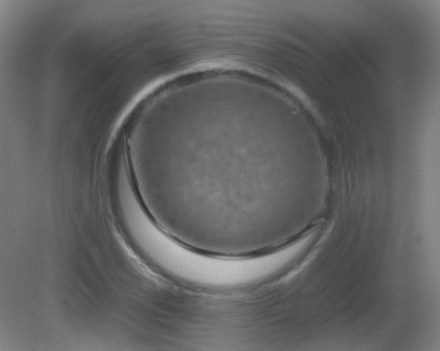 X0000082941118200702011258