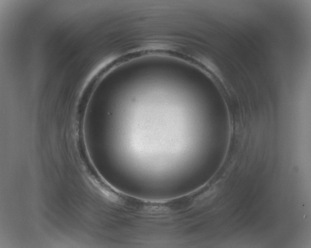 X0000082941119200702011258