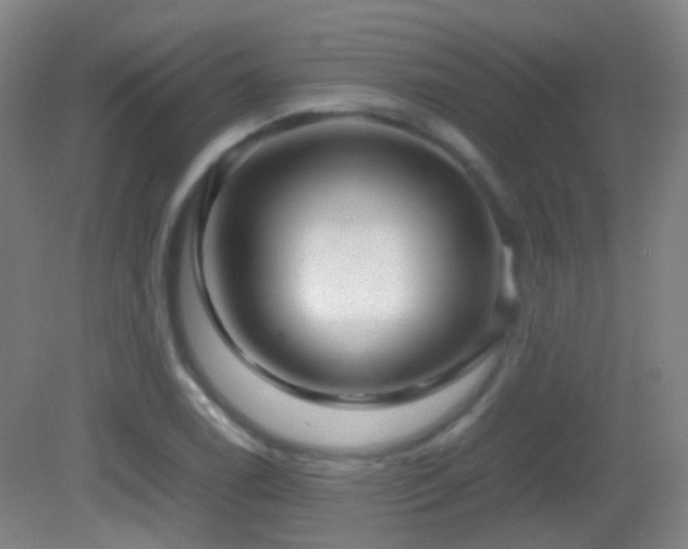 X0000082941122200702011258