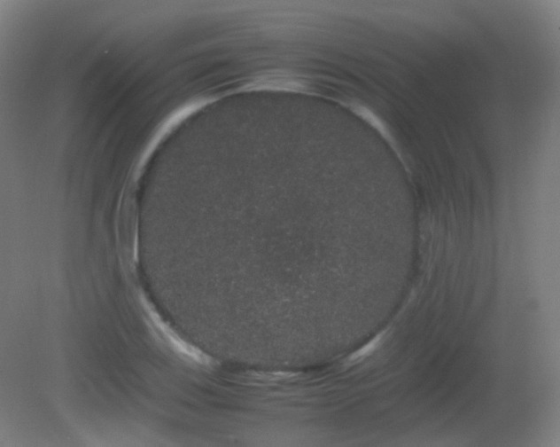 X0000082941123200702011259