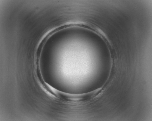 X0000082941124200702011259