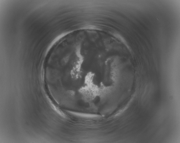 X0000082941125200702011259