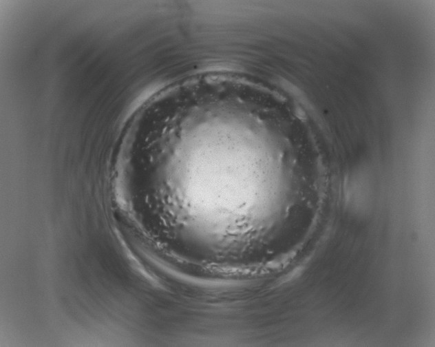 X0000082941129200702011259