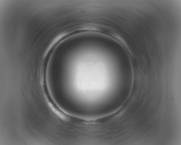 X0000082941131200702011259