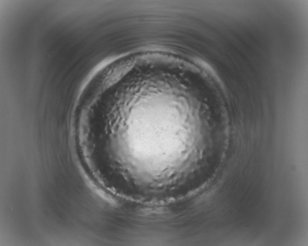 X0000082941133200702011259