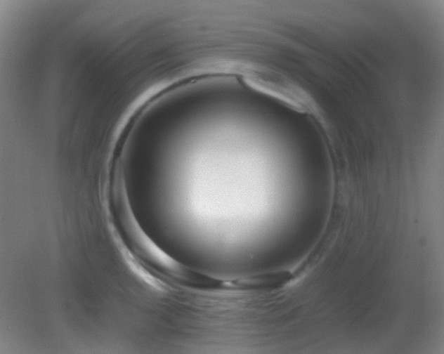X0000082941136200702011259