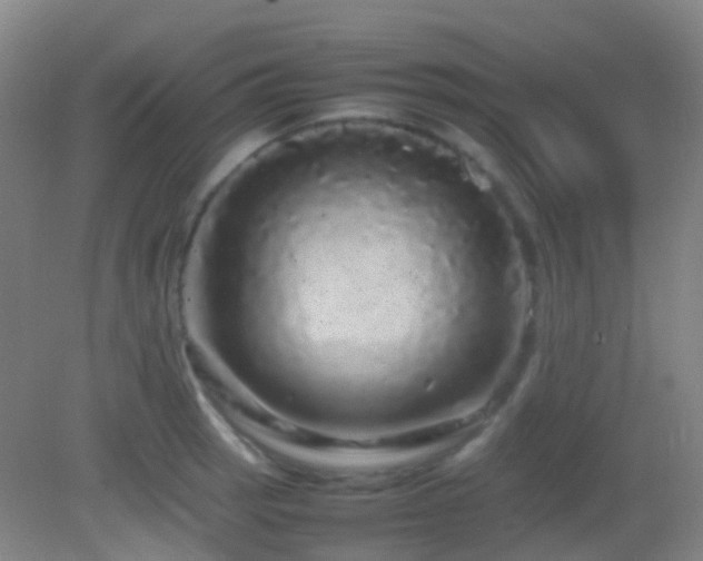 X0000082941137200702011259