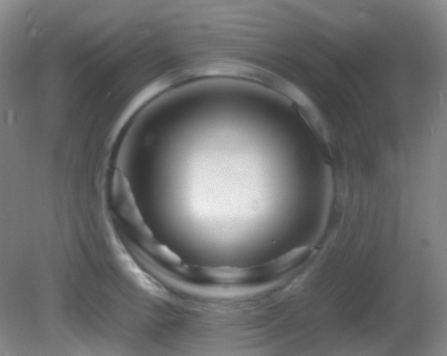 X0000082941138200702011259