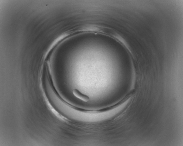 X0000082941139200702011259