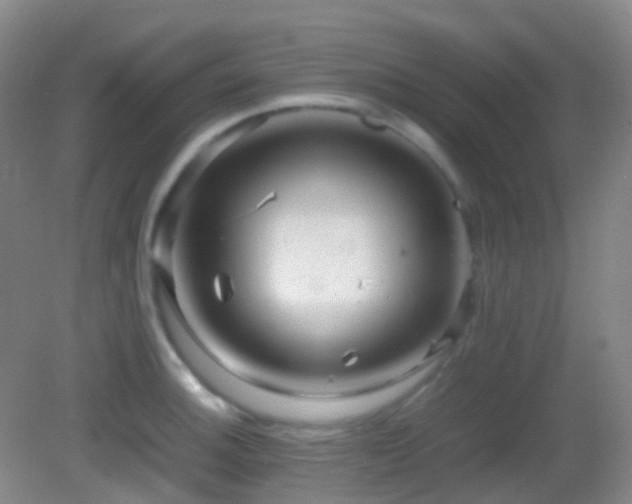X0000082941140200702011259
