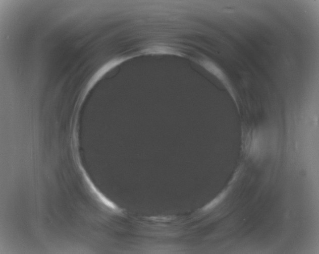 X0000082941141200702011259
