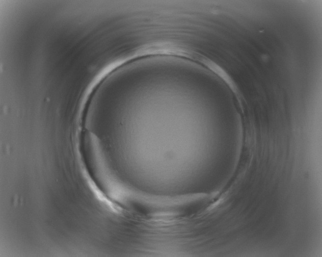 X0000082941144200702011259