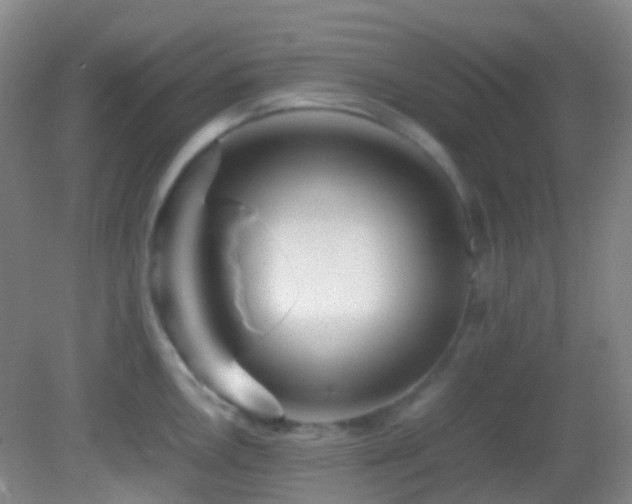 X0000082941146200702011259