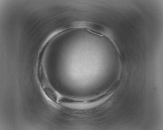X0000082941147200702011259
