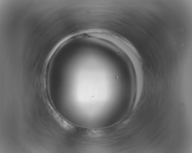 X0000082941148200702011259