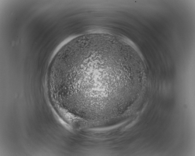 X0000082941149200702011259