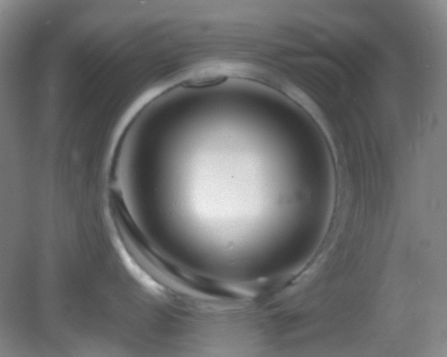 X0000082941152200702011259