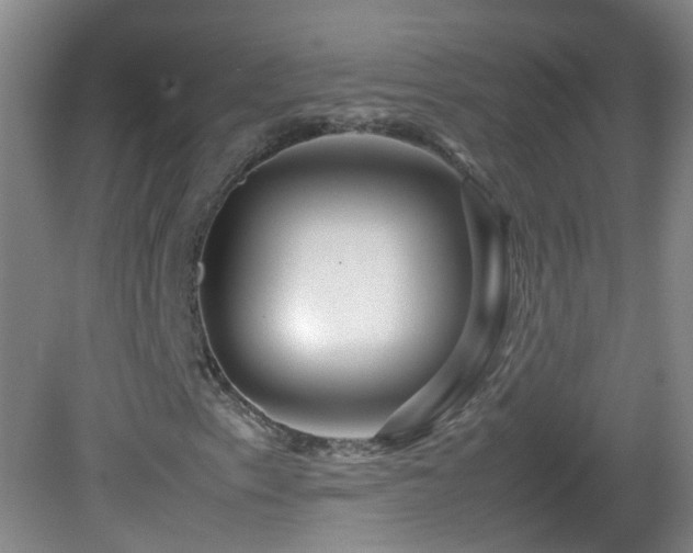 X0000082941153200702011258