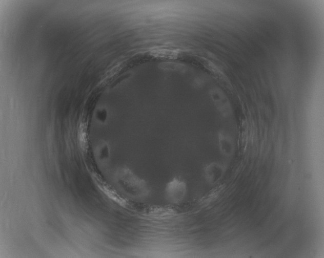 X0000082941154200702011258