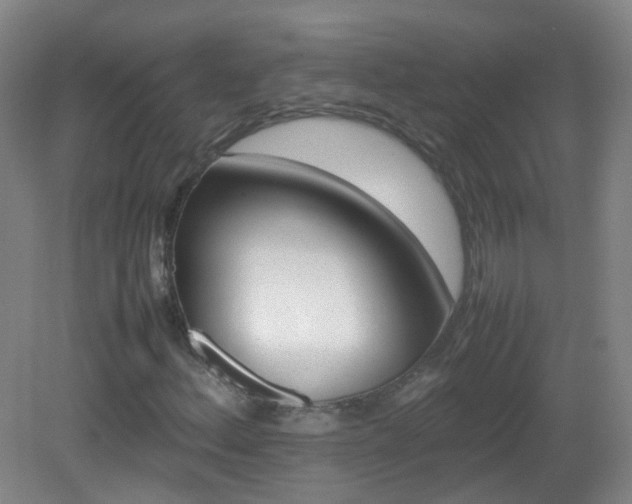 X0000082941156200702011258