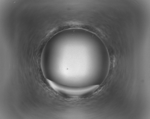 X0000082941157200702011258