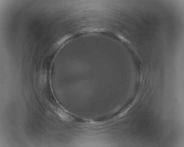 X0000082941161200702011258