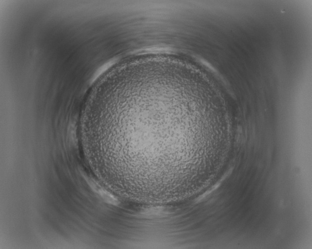 X0000082941162200702011258