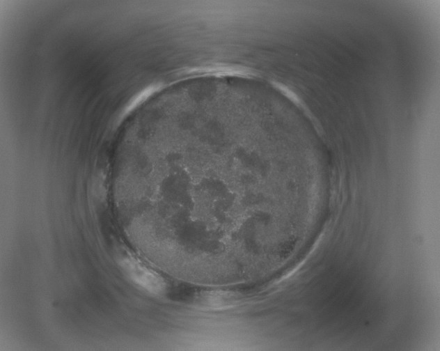 X0000082941163200702011258