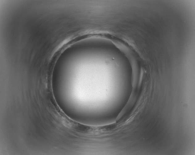 X0000082941165200702011258