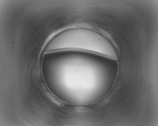 X0000082941176200702011258