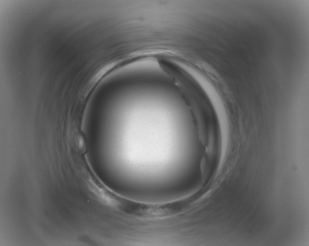 X0000082941177200702011258