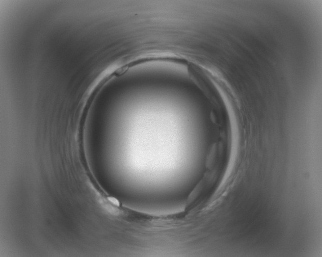 X0000082941181200702011258