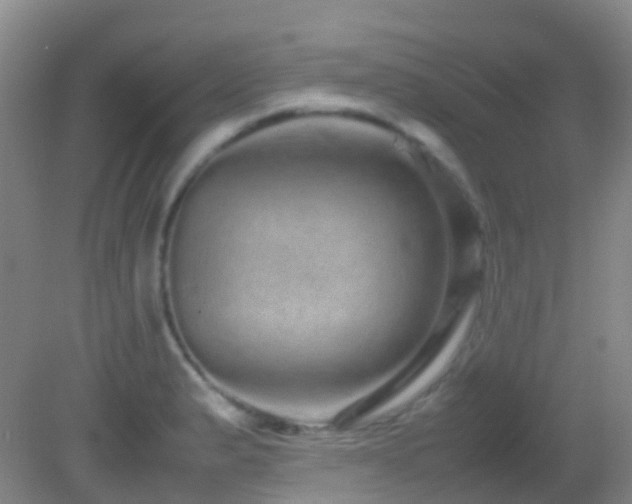 X0000082941183200702011258