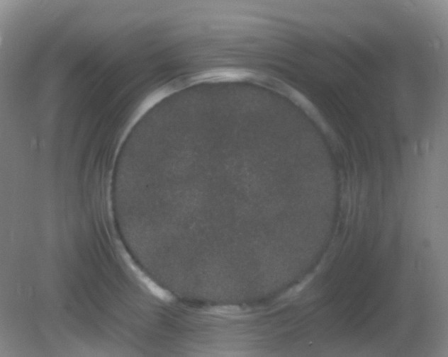 X0000082941186200702011258