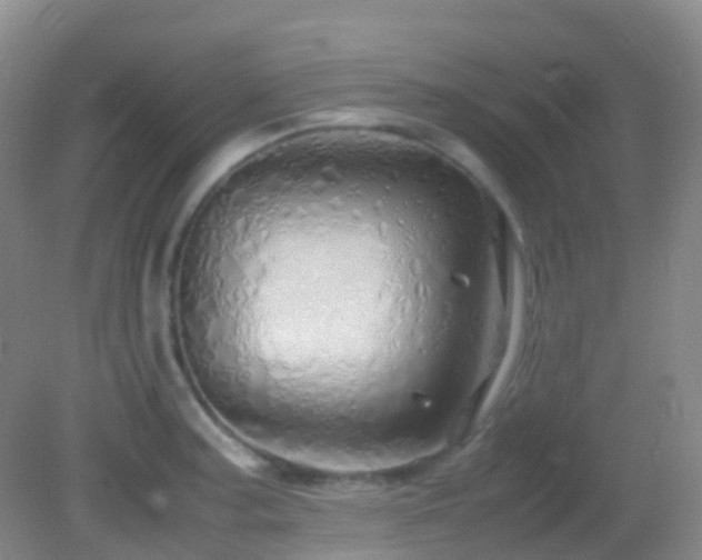 X0000082941187200702011258