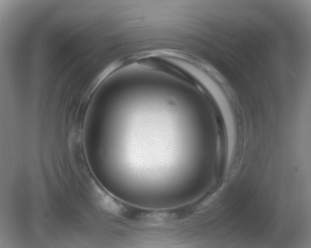 X0000082941193200702011258