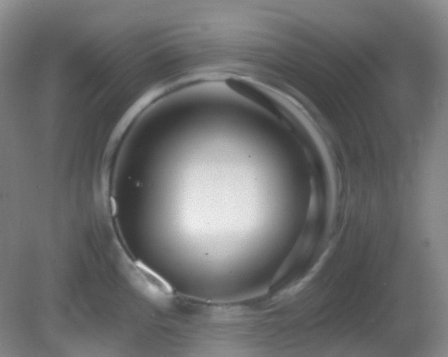 X0000082941196200702011257