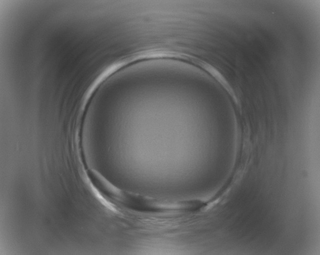 X0000082941197200702011257