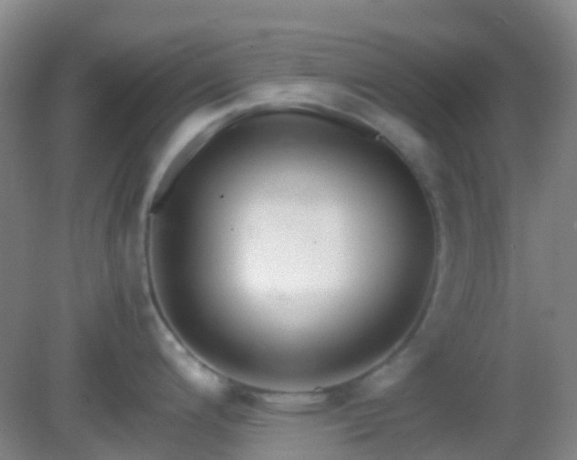 X0000082941200200702011257