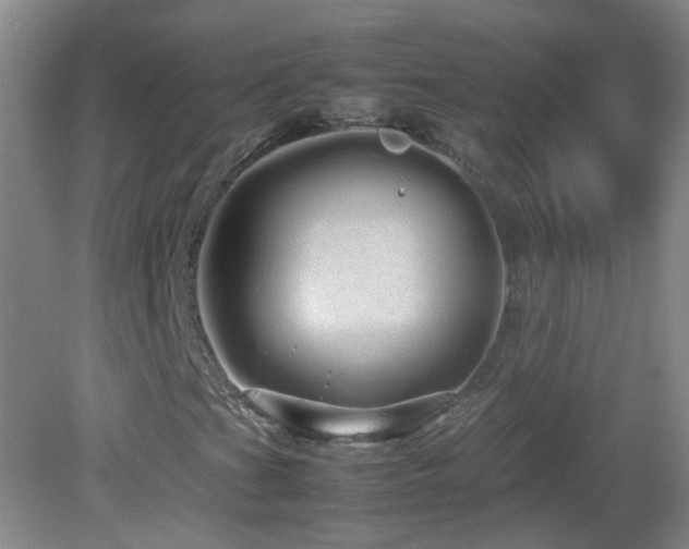 X0000082941201200702011257