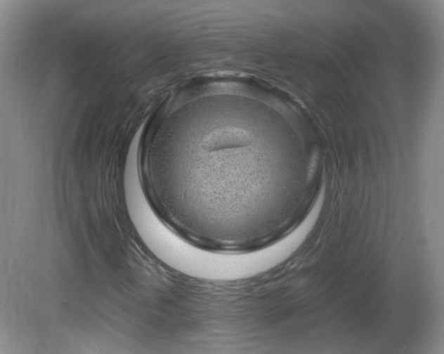 X0000082941202200702011257