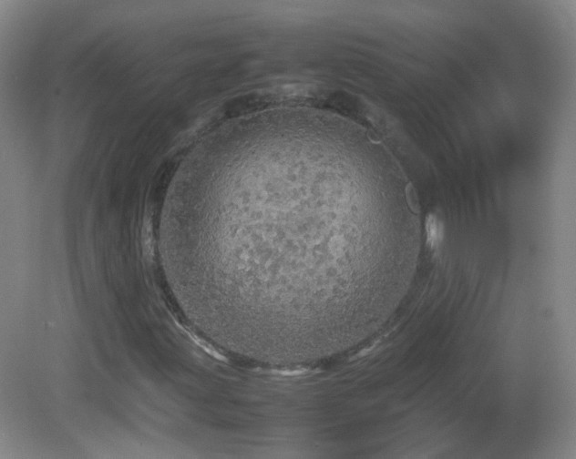 X0000082941203200702011257