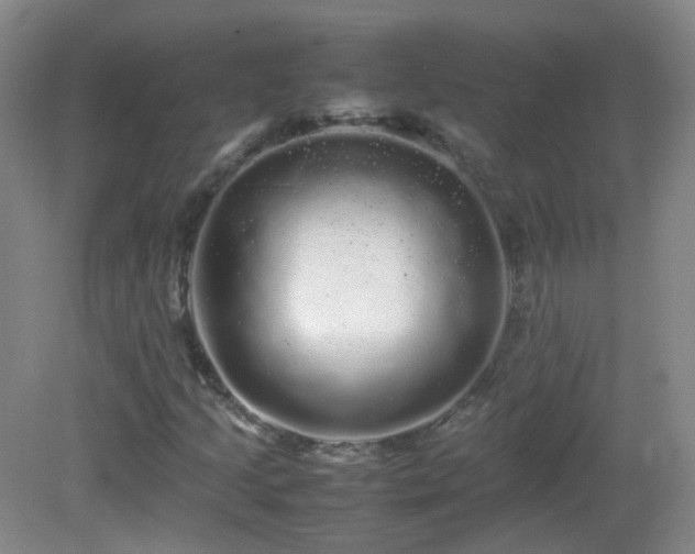 X0000082941205200702011257